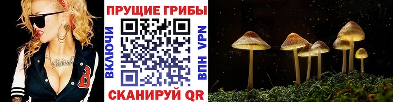 Галлюциногенные грибы ЛСД  наркота  Льгов 